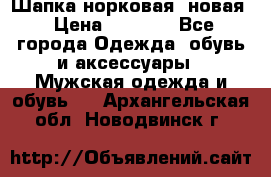 Шапка норковая, новая › Цена ­ 5 000 - Все города Одежда, обувь и аксессуары » Мужская одежда и обувь   . Архангельская обл.,Новодвинск г.